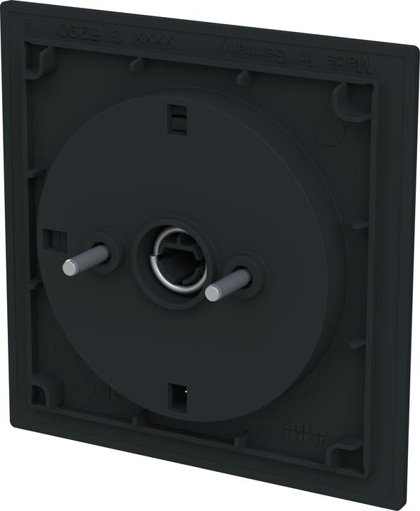 Produktbild Busch-Jaeger Zentralscheibe