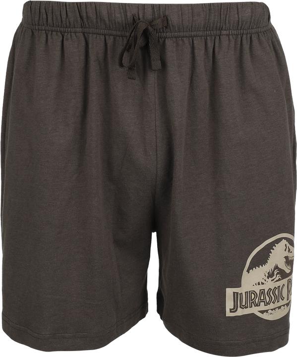 Produktbild Jurassic Park Logo (XL)