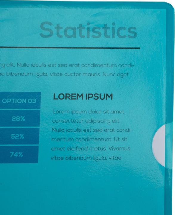 Actual product image Exacompta Sleeves and bags (A4, 100x)