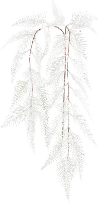 Immagine prodotto Lipo Ramo di felce