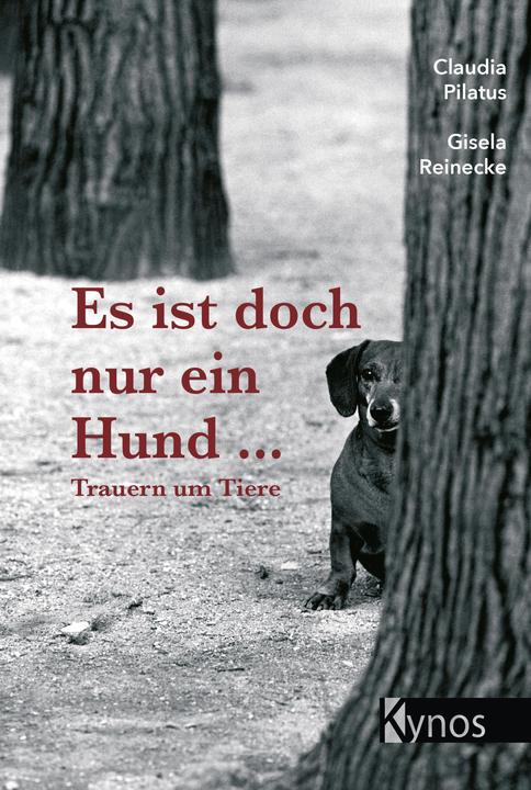 Produktbild Nike Schenke (Deutsch, Claudia Pilatus, Gisela Reinecke, 2006)