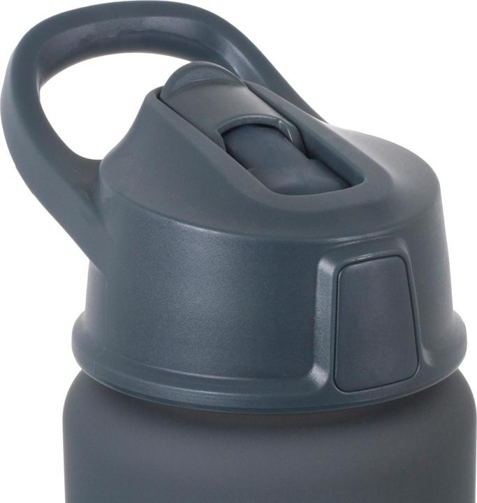 Actual product image Lifeventure Flip-Top Water Bottle, Grey (0.75 l)