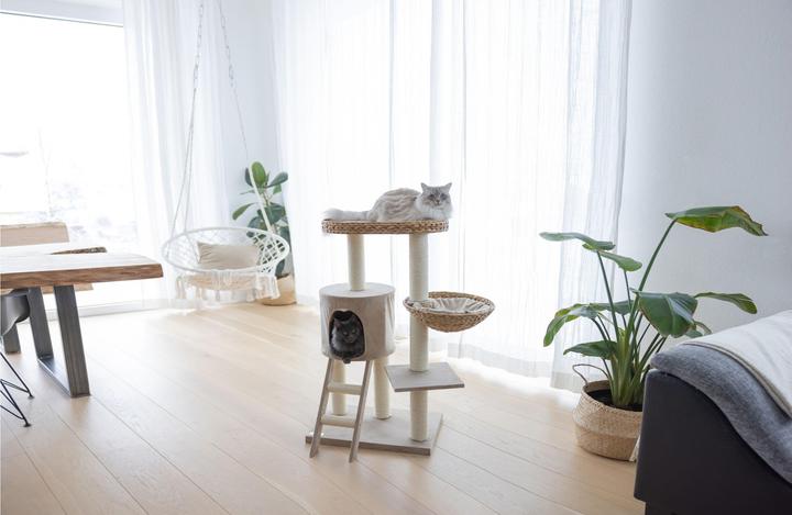 Produktbild Kerbl Waxy (104 cm, Beige)