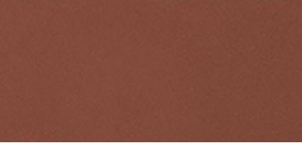 Actual product image Alcina Long-Lasting Nail Polish Nail Colour 5 Ml (Hazelnut)