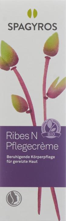 Produktbild Spagyros Ribes N Pflegecreme (Körpercreme, 50 ml)