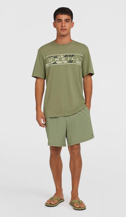 Image du produit O'Neill Pocket Print 16 Short de natation (L)