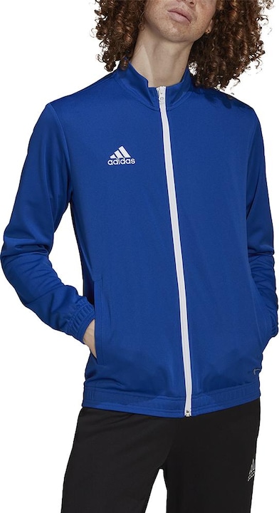 Actual product image adidas Entrada 22 men's training jacket (XXL)