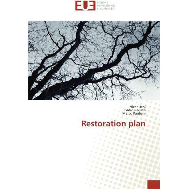 Restoration plan, Fachbücher von Marco Pagliani, Pedro Regato, Nizar Hani