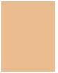 Actual product image Lancaster Infinite Bronze (Suntan cream, SPF 30, 50 ml, 80 g)