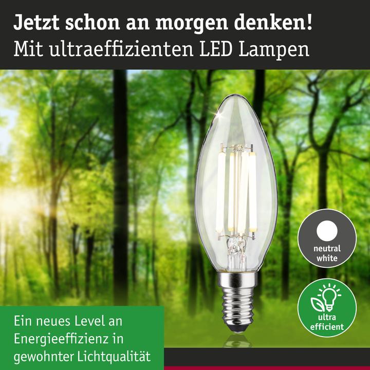 Image du produit Paulmann Kerze Eco-Line (E14, 4 W, 840 lm, 1 x, A)