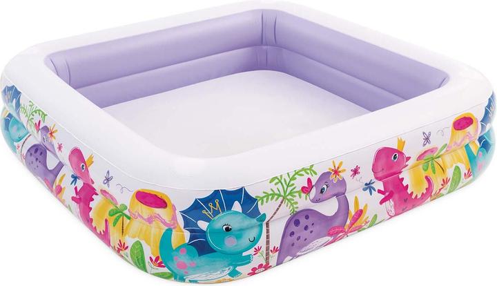 Actual product image Intex Sun Shade