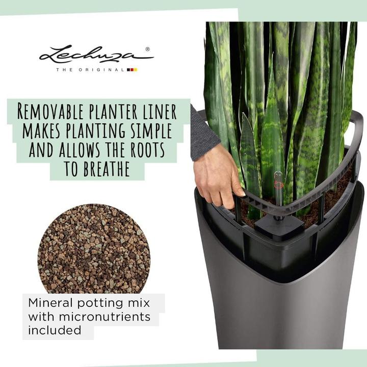 Produktbild Lechuza Delta (29 x 56.50 cm)