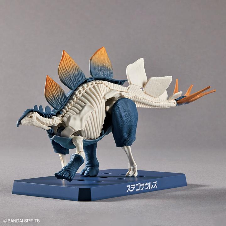 Actual product image Bandai Stegosaurus