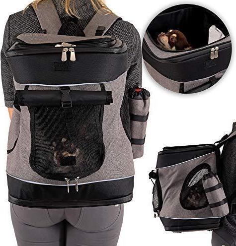 Actual product image Dibea . (Dog, Reflectors)