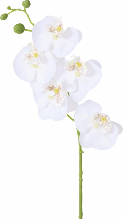 Immagine prodotto Boltze Home Fiore a stelo (6.50 cm)