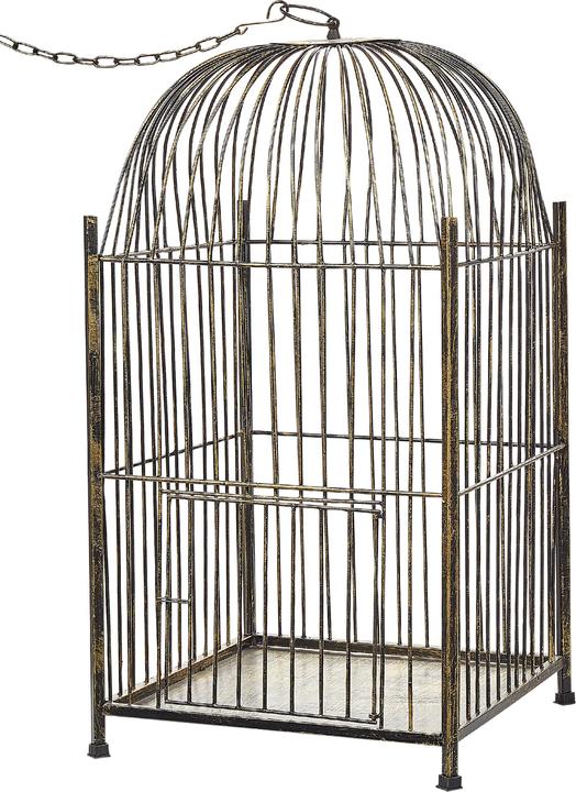 Beliani Comoros (1 x)