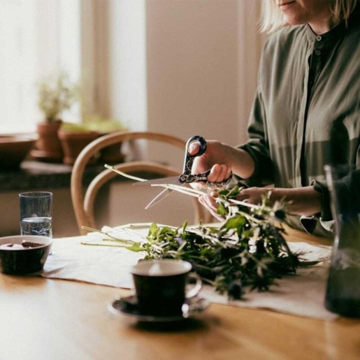 Produktbild Fiskars FXI žirklės 21 cm Taika blue (21 cm)