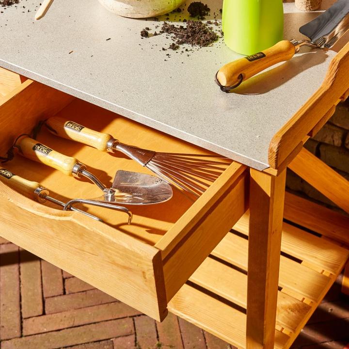 Productafbeelding Siena Garden Paola planttafel