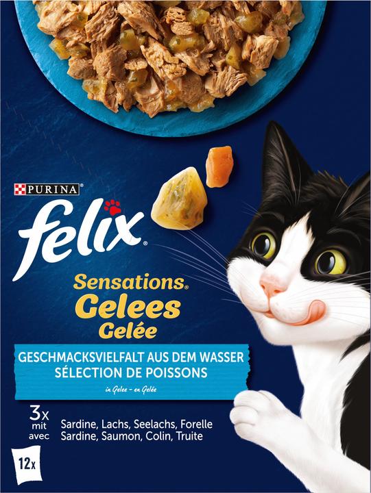 Produktbild Felix Gelée Fisch (Adult, 12 Stk., 1160 g)