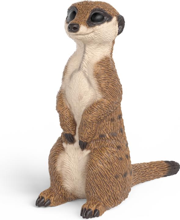 Immagine prodotto Schleich Erdmännchen