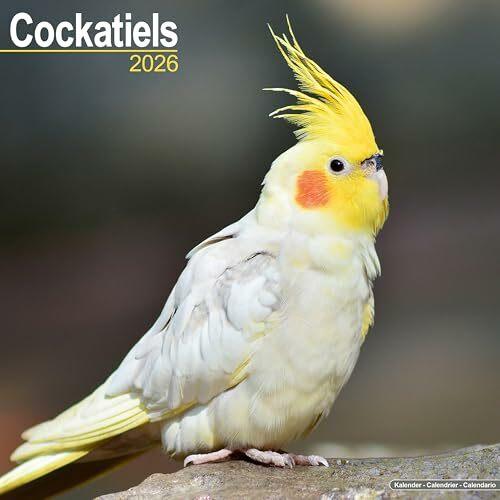 Produktbild Cockatiels Calendar 2026 Square Bird Wall Calendar - 16 Month