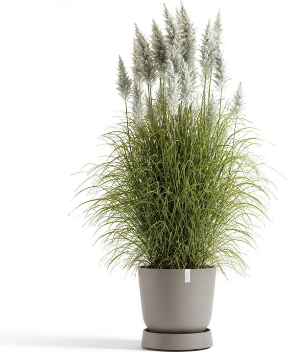 Image du produit Ecopots Saucer Wheels Oslo