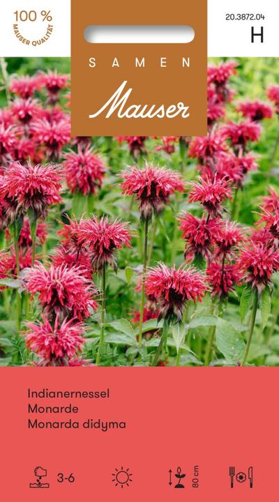 Produktbild Samen Mauser Indianernessel (Kräutersamen)