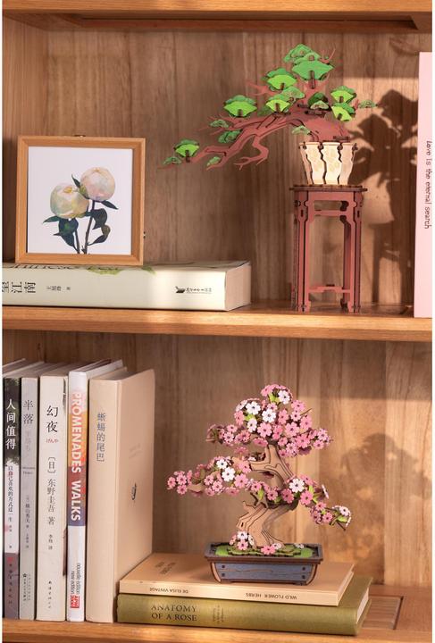 Image du produit Robotime Sakura Bonsai (263 pièces)
