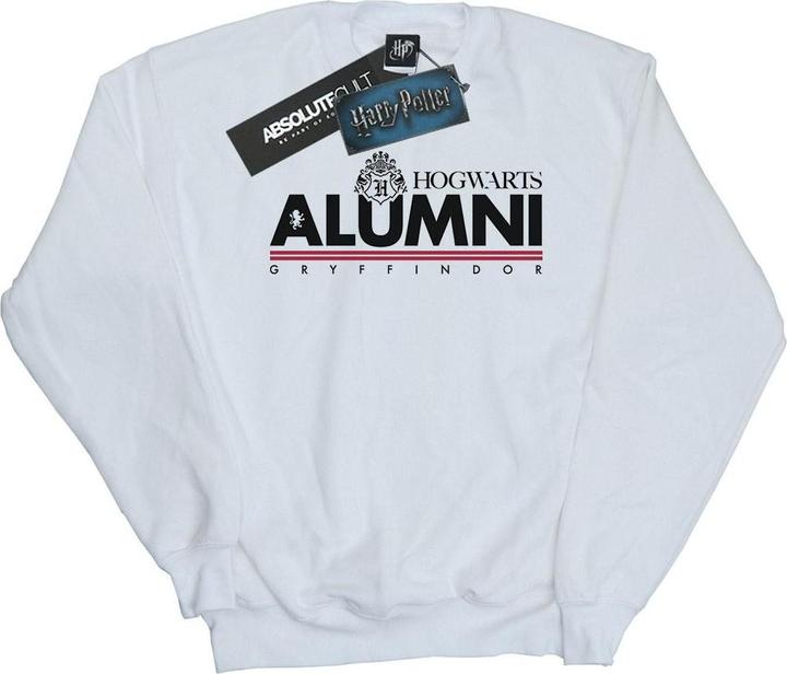 Image du produit - Sweat HOGWARTS ALUMNI GRYFFINDOR - Homme (L)