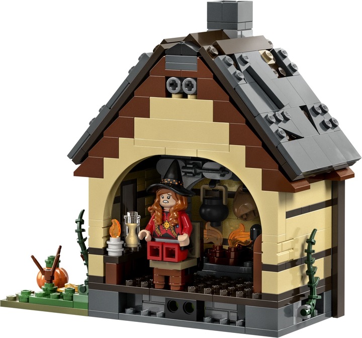 Productafbeelding LEGO Disney Hocus Pocus: De Sanderson Sisters' Cottage 21341 (21341, LEGO Ideeën, LEGO Zeldzame Sets)