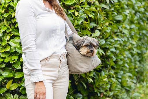 Actual product image Designed by Lotte Carrier bag (Dog, Can be opened completely)