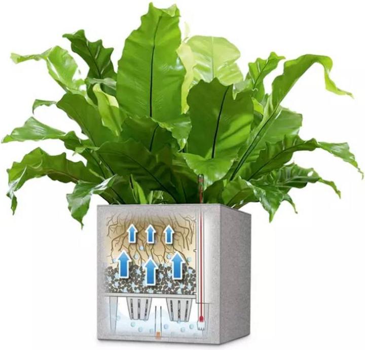 Image du produit Lechuza Canto Color Cube (30 x 30 x 30 cm)