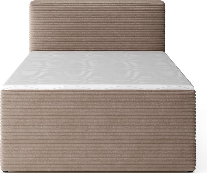 Actual product image ELTAP Alamito (120 x 200 cm)