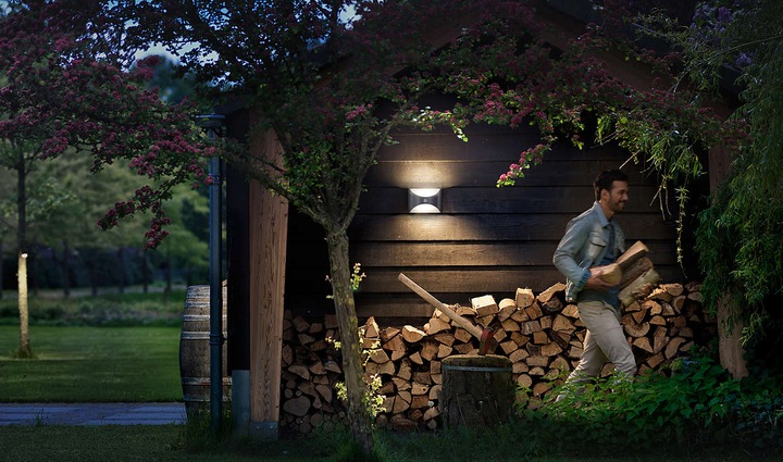 Image du produit Philips Herb IR (600 lm)