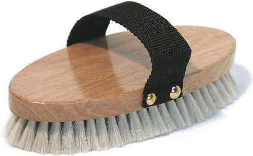 Strigliatura cavallo