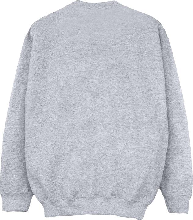 Actual product image Star Wars Girls The Last Jedi Japanese Rey Sweatshirt (140, 146)