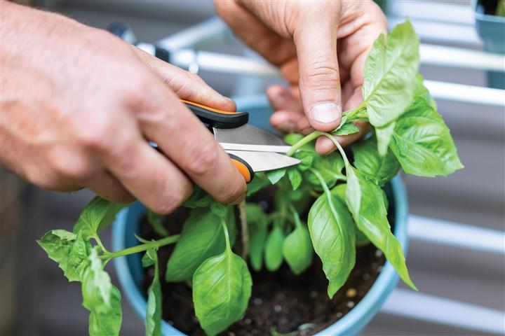 Produktbild Fiskars Kräuterschere