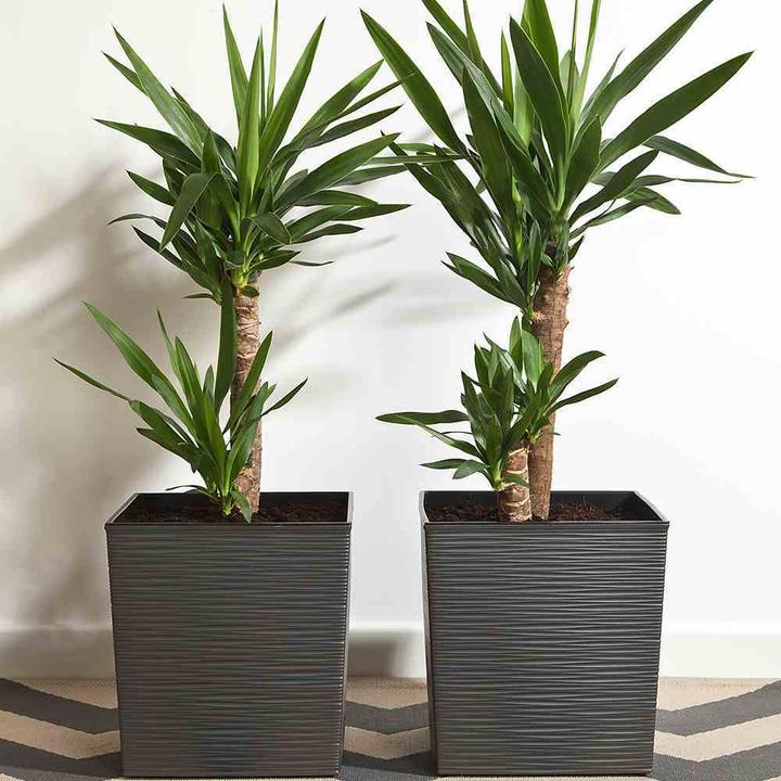 Immagine prodotto Siena Garden Modern (40 cm)
