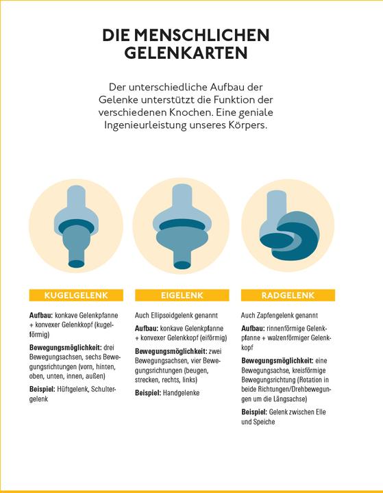 Nährwerte und Zutaten Fitte und starke Gelenke (Deutsch, Sebastian Capel, Dr. med Wolfgang Schillings, 2025)