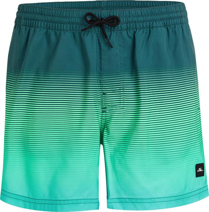 O'Neill Jack Cali Gradient 15" Swim Shorts (XXL)
