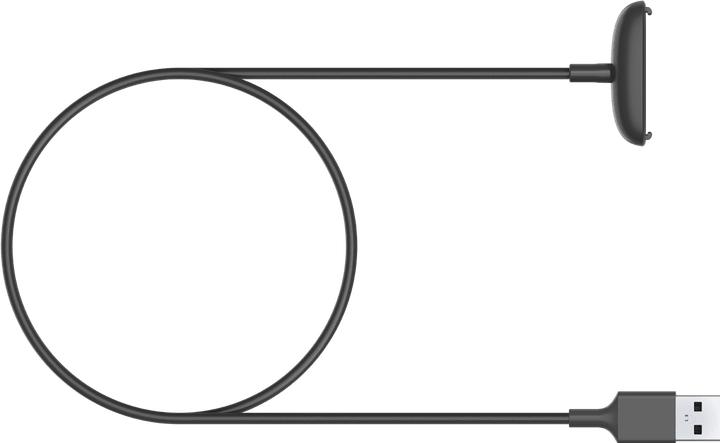 Actual product image Fitbit Retail Charging Cable