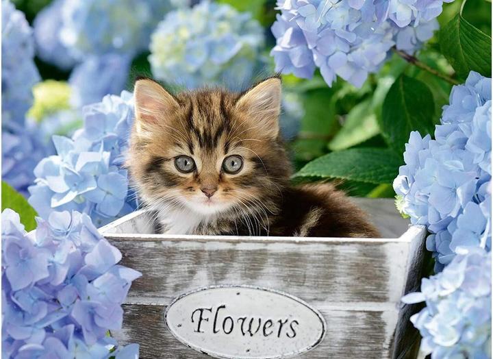 Immagine prodotto Ravensburger Gattino (300 pezzi)