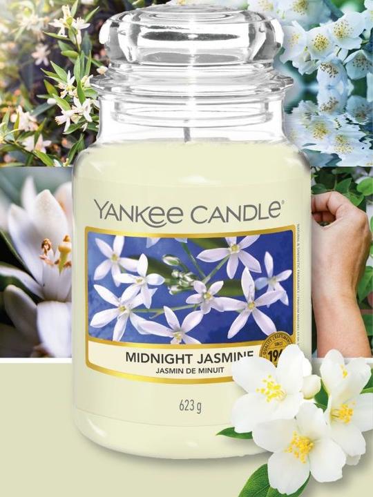 Productafbeelding Yankee Candle Midnight Jasmine (623 g)