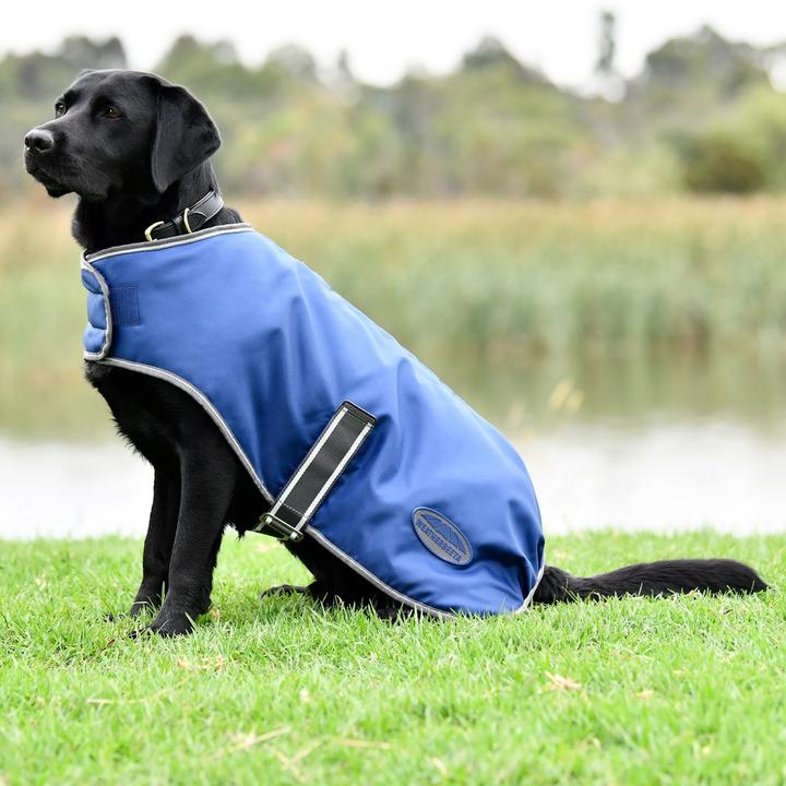 Actual product image Weatherbeeta ComFiTec Windbreaker Free (30, Dog coat)
