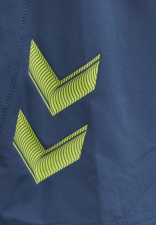 Image du produit hummel Short D'Entraînement Lead Pro (S)