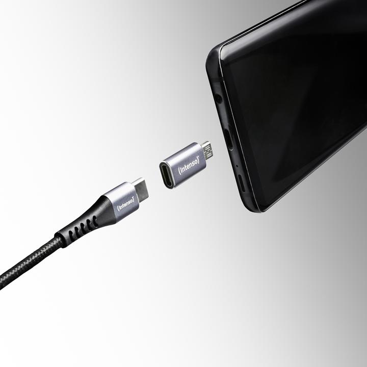 Image du produit Intenso 3-pack USB Adapter MIX USB-C/A/MICRO MIX480 Aluminiu (USB 2.0)