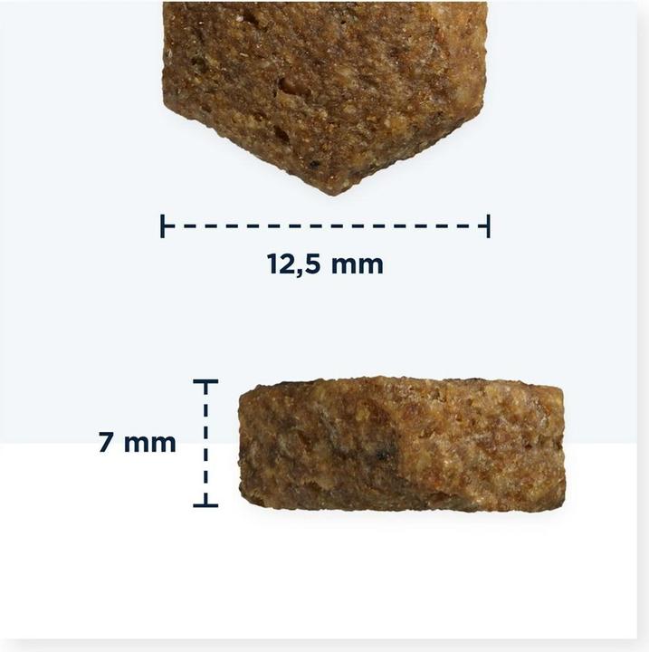 Immagine prodotto Eukanuba Grainfree Puppy L/XL Salmone (Cucciolo + gattino, 109 pz., 3000 g)