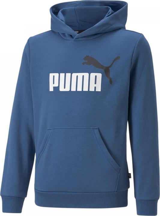 Actual product image Puma ESS+ 2 Col Big Logo Hoodie FL B (140)
