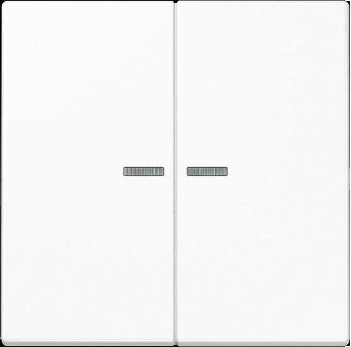 Actual product image JUNG Schuko
