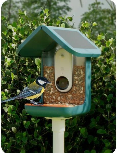 Immagine prodotto Bird Buddy Birdbuddy Pro Solar